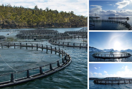 Umkreis des Aquakultur Netto-HDPE PE100 Fischzucht-Käfig-30-160m